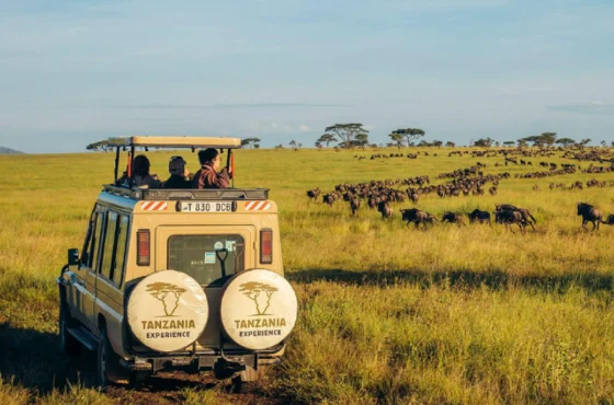 Safari Adventures in Tanzania & Zanzibar