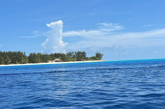 Mnemba Island Snorkelling Tour