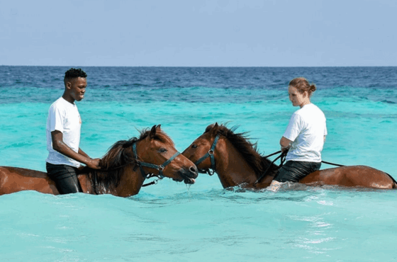 Horse Riding in Nungwi Zanzibar