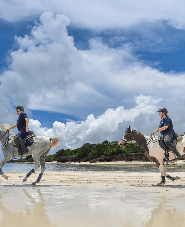 Safari Blue Zanzibar sea adventure