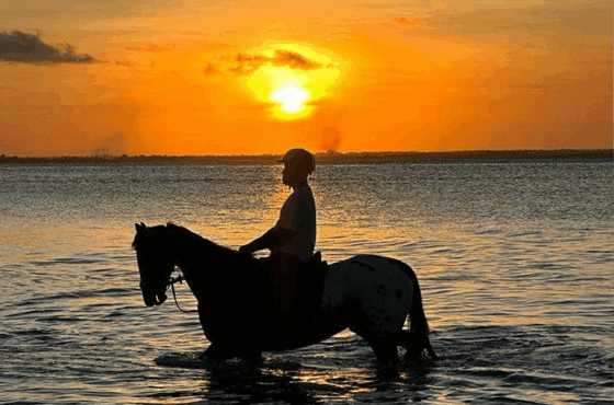 Horse Riding Michamvi Zanzibar – Sunset Beach Horseback Tour
