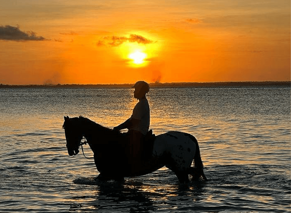 Horse Riding Michamvi Zanzibar – Sunset Beach Horseback Tour