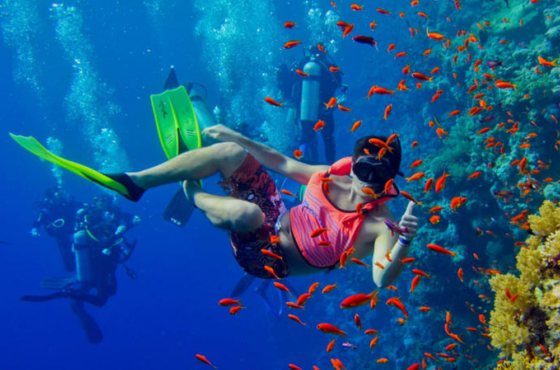 Blue Lagoon Snorkeling – Zanzibar