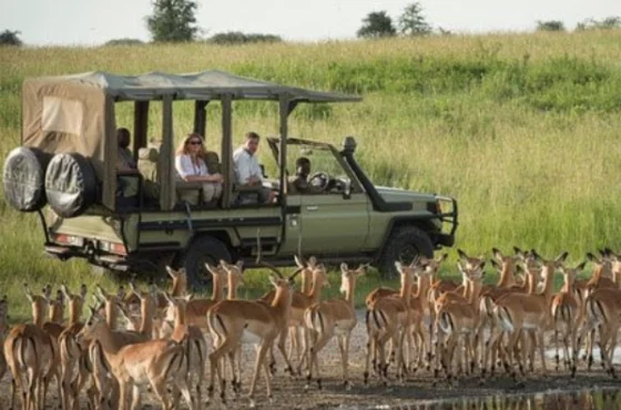 Short Northern Circuit Safari: 2 Days / 1 Night (Tarangire & Ngorongoro Crater)