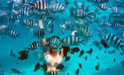 Blue Lagoon Snorkeling
