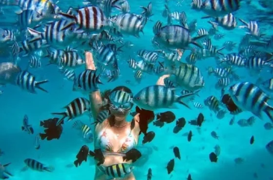 Blue Lagoon Snorkeling
