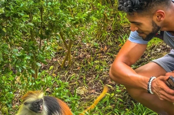 Zanzibar; Jozani Forest National Park